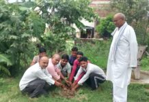 सरस्वती शिशु मंदिर में वृक्षारोपण कार्यक्रम