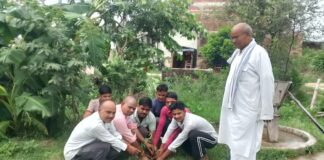 सरस्वती शिशु मंदिर में वृक्षारोपण कार्यक्रम